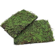 Terrarium Moss Background Backdrop Wall Artificial Reptile Amphibian Cage Decoration for Lizard Bearded Dragon Snake Frog Chameleon Climbing