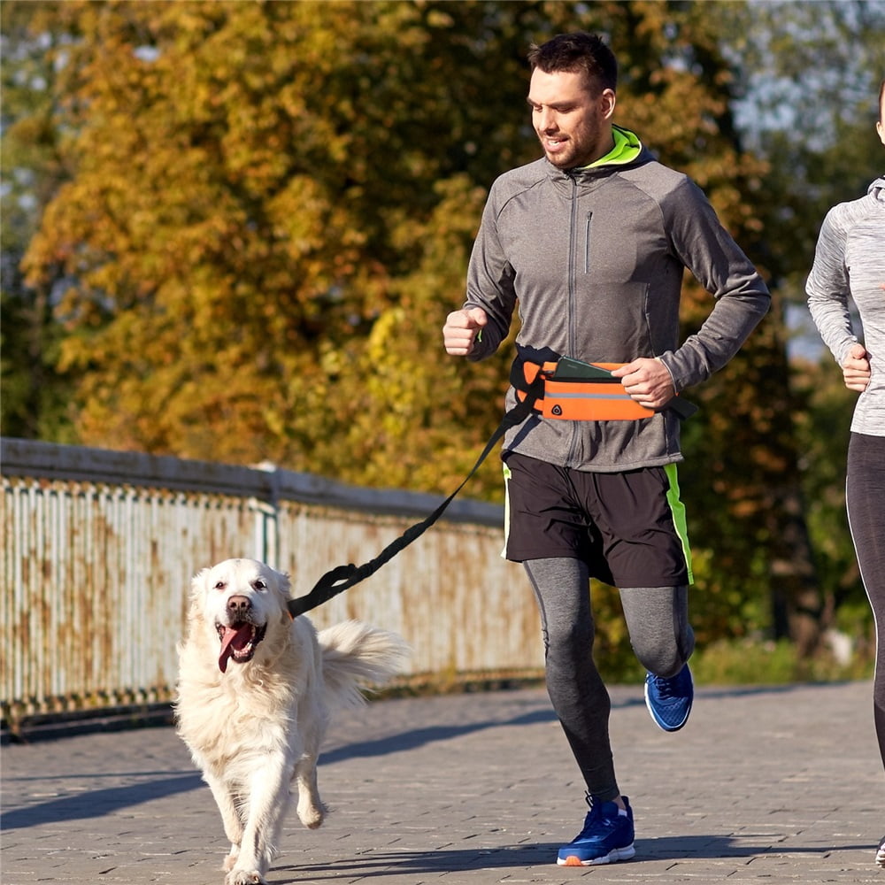 Hands Free Dog Leash with Zipper Pouch, Wide Padded Waist Dog Running Leash for Medium and Large Dogs, Retractable Bungee for Walking Jogging Training Hiking