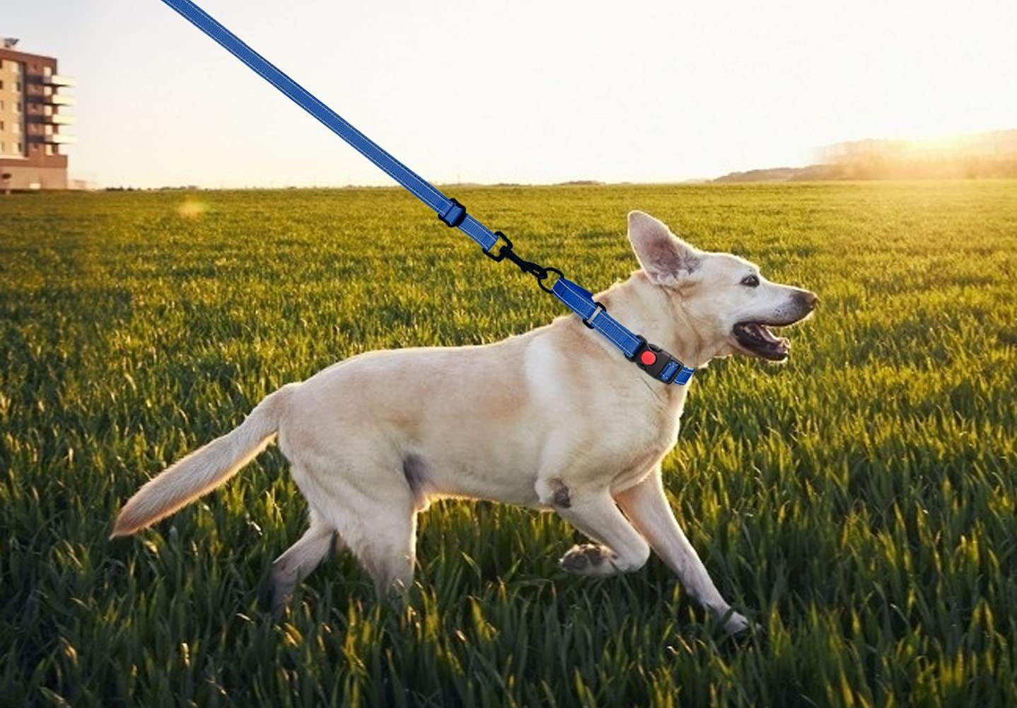 Solennerer Dog Collar Dog Leash Sets Heavy Duty Pet Leash Lead Rope for Small Medium Large Dogs Walking Running Training