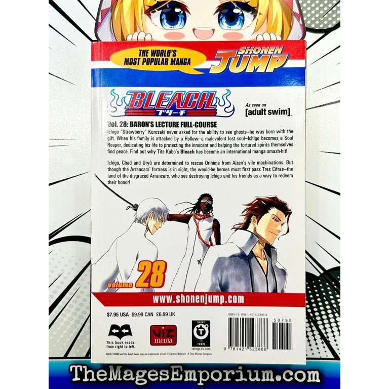 Bleach, Vol. 28, (Paperback) - Walmart.com