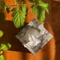 thumbnail image 5 of 3-Ply Bamboo Facial Tissue - 66ct, 5 of 5
