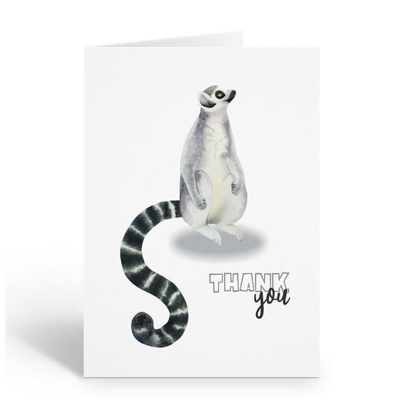 Stonehouse Collection |  Watercolor Ringtail Cat Thank You Note Cards | 10-Pack