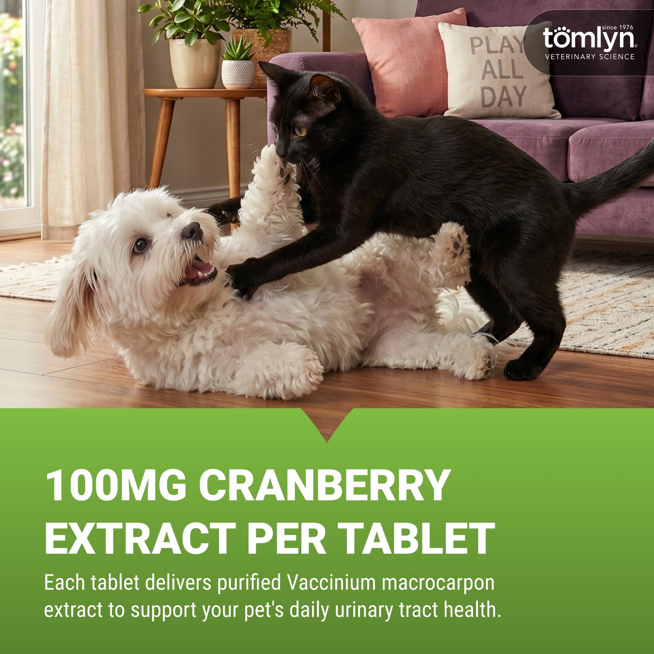 Tomlyn Cranberry Chewable Tablets for Cats and Dogs, Urinary Tract Health, Beef Flavor, 30 Count