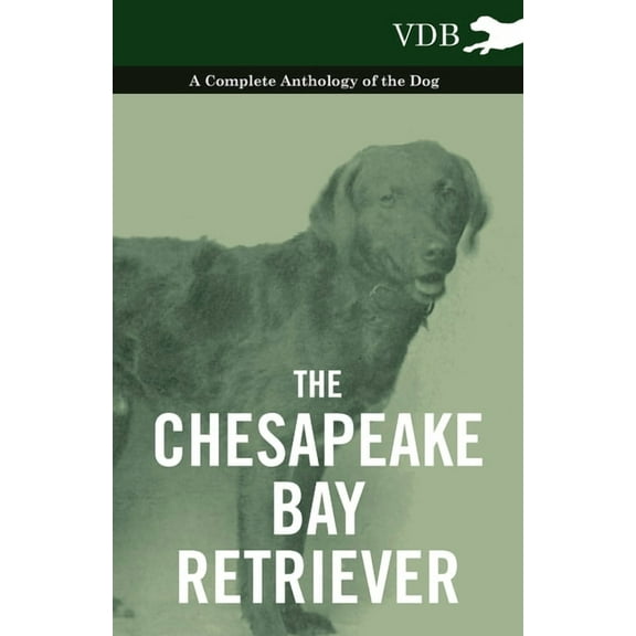 The Chesapeake Bay Retriever - A Complete Anthology of the Dog -, (Paperback)