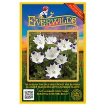 Everwilde Farms - 500 Five Spot Native Wildflower Seeds - Gold Vault Jumbo Bulk Seed Packet