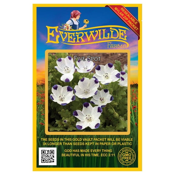 Everwilde Farms - 500 Five Spot Native Wildflower Seeds - Gold Vault Jumbo Bulk Seed Packet