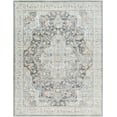 thumbnail image 3 of Hauteloom Hayfa Living Room, Bedroom Area Rug - Traditional - Light Gray, Neutral, Dark Gray - 18" Sample, 3 of 15