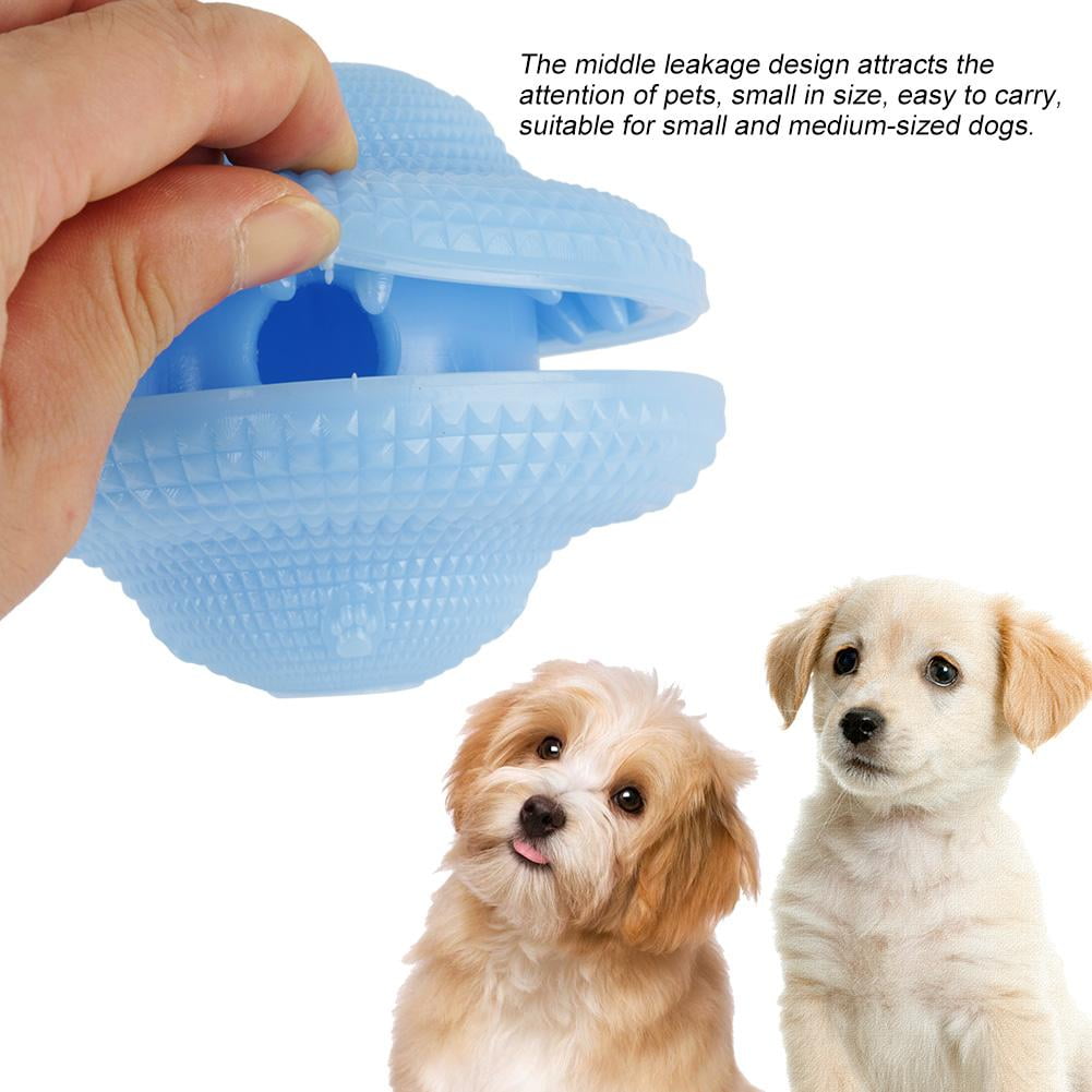 pet puzzle toys