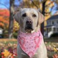 thumbnail image 2 of Dog Bandana 1 Pack,Pink Breast Cancer Ribbon Floral Pattern Bandanas for Dogs,Cat Bandana,Small/ Large Dog Bandana 2 Size,Dog Bandanas Girl Boy, 2 of 6