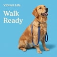 thumbnail image 4 of Vibrant Life 6' Solid Polyester Leash, Blue, M/L, 4 of 10
