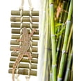 thumbnail image 5 of Reptile Bridge, Bamboo Climbing Ladder Lounger for Gecko Tank Accessories, 2 Pack Habitat Decor for Lizards, Chameleons, Frogs and Hermit Crabs, 5 of 8