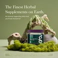 thumbnail image 3 of Gaia Herbs Black Elderberry (Sambucus nigra) Extra Strength Gummies - Delicious Immune Support Supplement* - Certified Organic Black Elderberries for Immune System Support* - 80 Gummies (40 Servings), 3 of 9