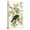 Canvas, variant on Art.com American Crow, 1833 Giclee Print by John James Audubon, 12" x 18"