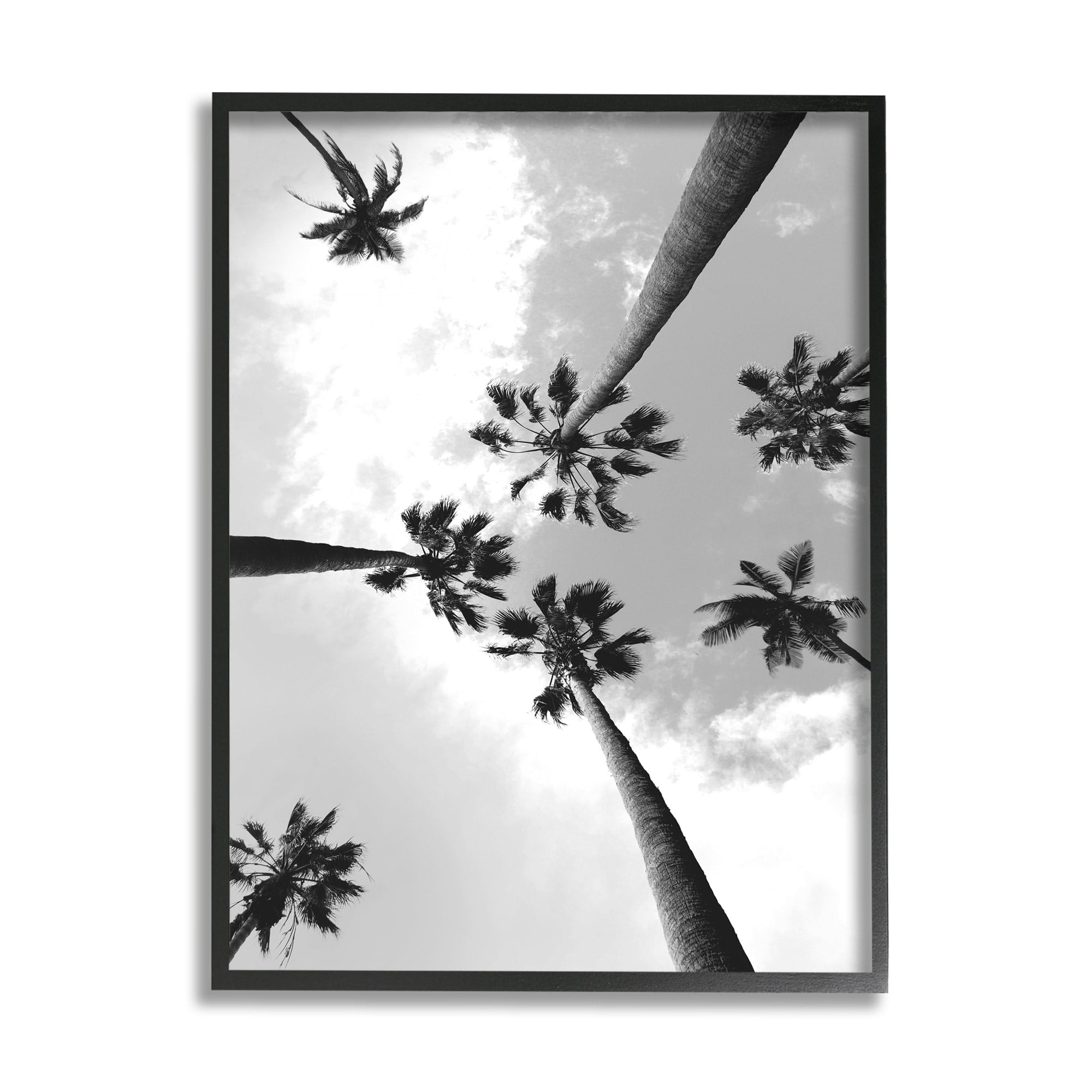 Stupell Industries Black and White Sky Through Palm Trees Design by Ziwei Li