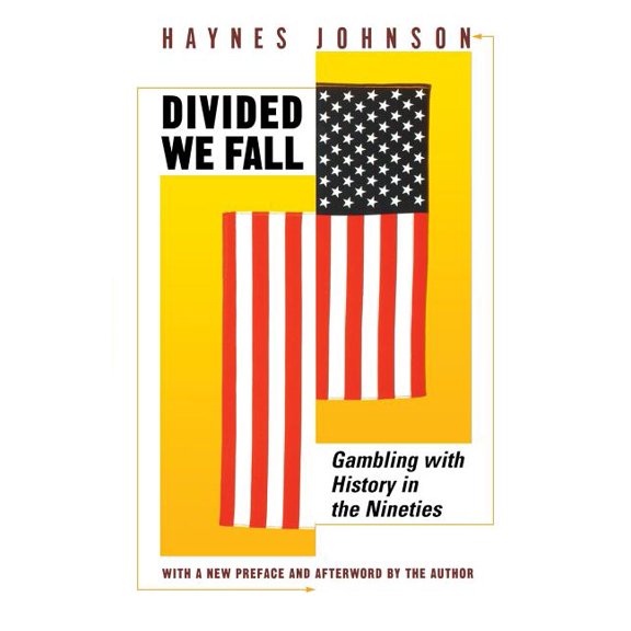 Gambling with History in the Nineties Divided We Fall: Gambling with History in the Nineties, (Paperback)