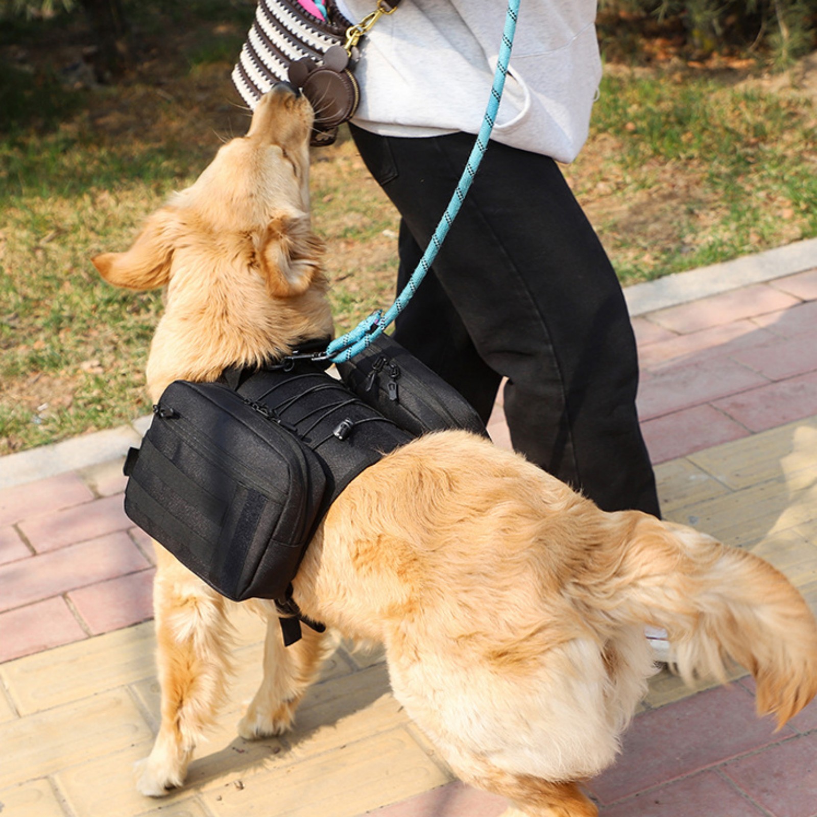 Jaucin Outdoor Dog Hiking Backpack Large Dog Hiking Backpack 2 in 1 Dog Saddle Bag Adjustable Straps Large Capacity Breathable and Waterproof Fabric
