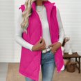 thumbnail image 3 of Winter Saving Beifu Winter Vest for Women Travel Vest Women Loose Sleeveless Warm Fall Jacket Winter Warm Zip Up Coat Outerwear Fall Fashion Must Haves, 3 of 9