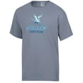 thumbnail image 2 of Men's ComfortWash Gray Air Force Falcons Logo Over Stacked T-Shirt, 2 of 3