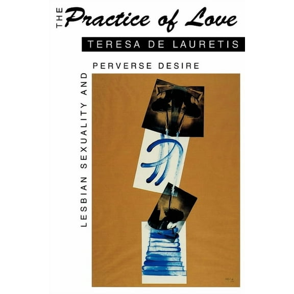 The Practice of Love: Lesbian Sexuality and Perverse Desire, (Paperback)