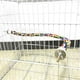 thumbnail image 2 of Pájaro Cuerda Percha Cómoda Percha Colorido Loro Cuerda Bungee Pájaro Juguete Jaula Loro Masticar Juguete Inevent PT001694-02, 2 of 7