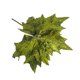 thumbnail image 3 of Flor de Poinsettia con purpurina, corona de decoración navideña, decoración de árbol, regalo de Navidad, fiesta, boda, álbum de recortes, guirnaldas de ratán, 1 ud., 3 of 3