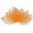 Orange, variant on 100-Pack Skeleton Leaves, Natural Rubber Tree Dried Pressed Leaves Vein for Resin/DIY Crafts Card/Scrapbook/Wedding, Small Decorative [4-6cm, Nude]