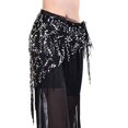 thumbnail image 1 of Qarigey Bufanda de cadera para danza del vientre, accesorios de decoración, cinturones, falda, danza del vientre, cintura, traje de baile, Cinturones Negro Plata, 1 of 6