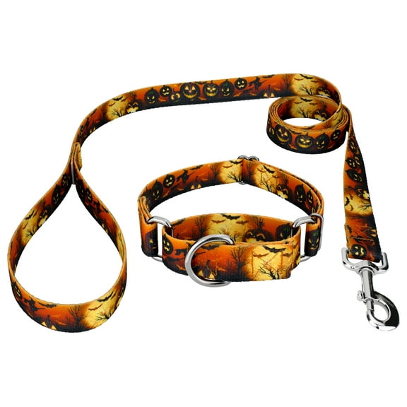 Country Brook Petz® Midnight Fright Martingale Dog Collar and Leash, 2XS