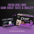 thumbnail image 4 of Cesar Loaf in Sauce Beef and Chicken Flavors Adult Wet Dog Food Variety Pack, 3.5 oz Trays, 6 Ct., 4 of 15