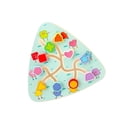 thumbnail image 1 of serony Kids Wooden Maze Game Math Toy Color Recognition Travel Toy for Toddler shape, 1 of 9