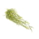 thumbnail image 5 of Cateissary Fondo de pared artificial Flores colgantes Planta Vid falsa Cumpleaños Balcón Decoración Regalos de inauguración Suministro para oficina Type1 NO1 Cateissary CBP487886, 5 of 6