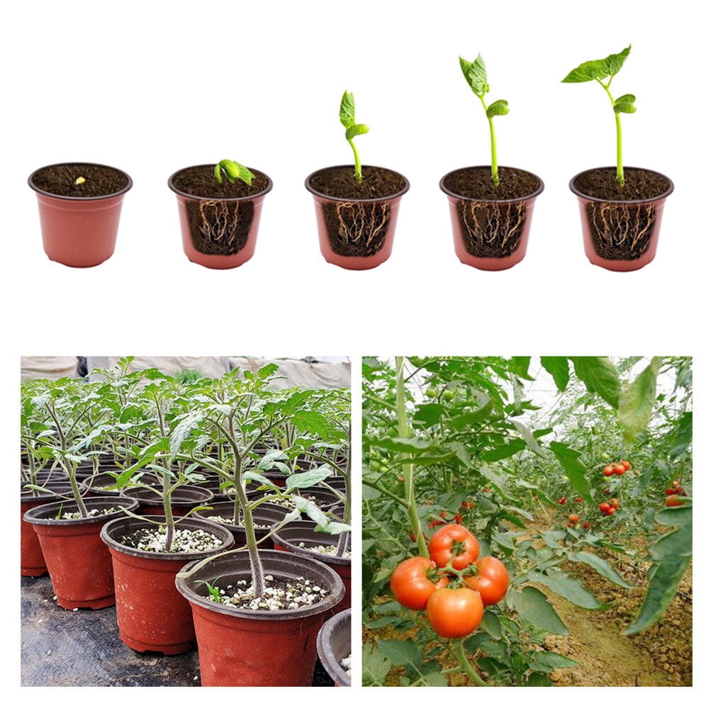 YSMN 100PCS 8" Plastic Plant Flower Pots Nursery Garden Seedlings Starting Pot Container