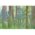 thumbnail image 2 of Paulson, Don 14x11 White Modern Wood Framed Museum Art Print Titled - WA, Seabeck Collage of bracken ferns and forest, 2 of 4