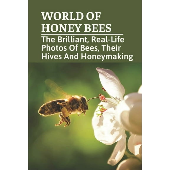 World Of Honey Bees