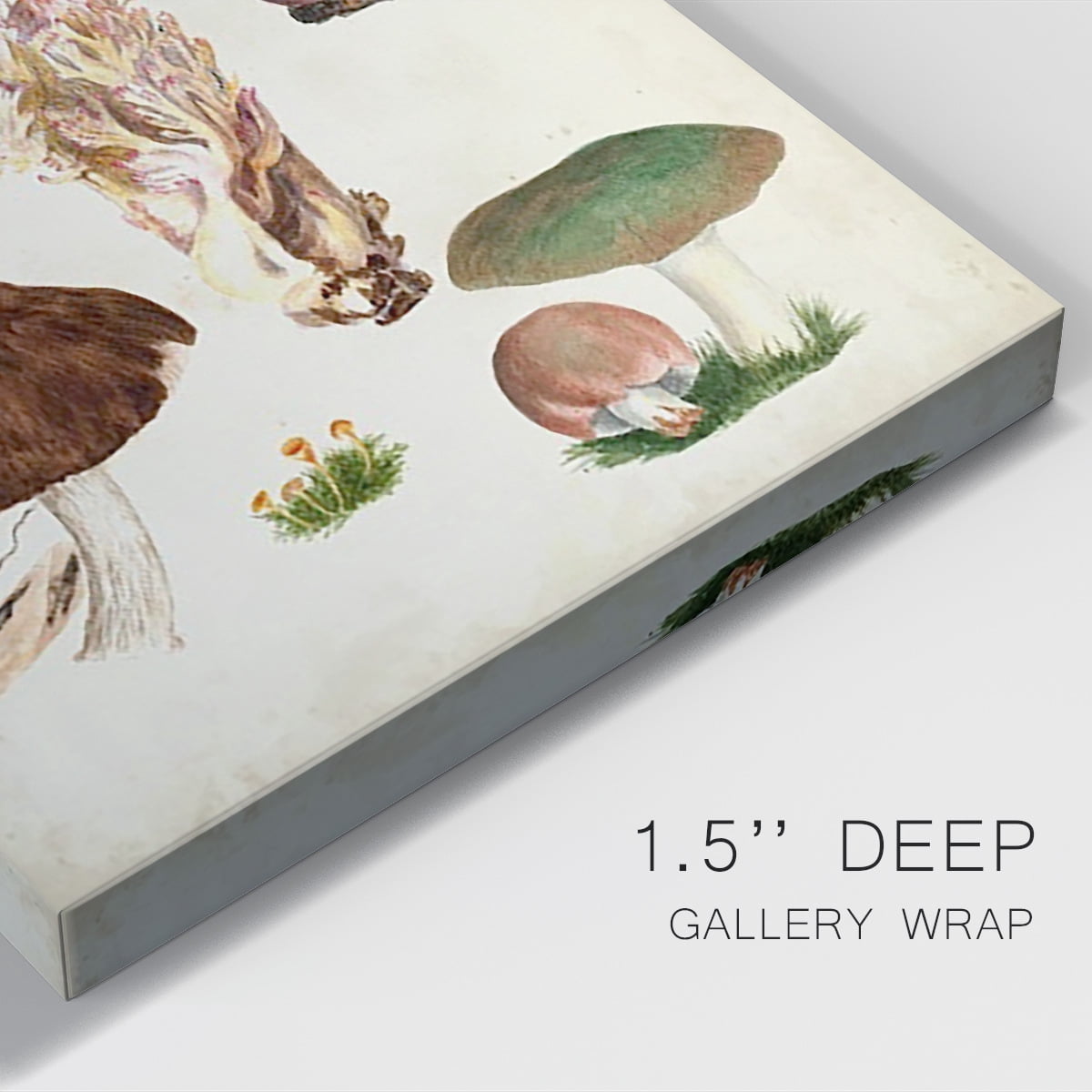 Mushroom Species IX Premium Gallery Wrapped Canvas - Ready to Hang