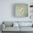 thumbnail image 2 of Trademark Fine Art Emel Tunaboylu  Turnalar Yosun Yesili Canvas Wall Art, 2 of 4