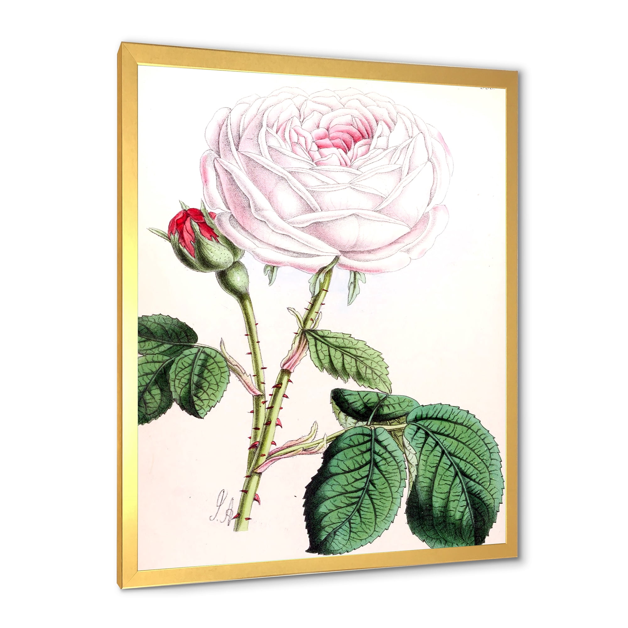 Designart 'Ancient Pink Flower' Traditional Framed Art Print