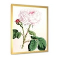 thumbnail image 2 of Designart 'Ancient Pink Flower' Traditional Framed Art Print, 2 of 4