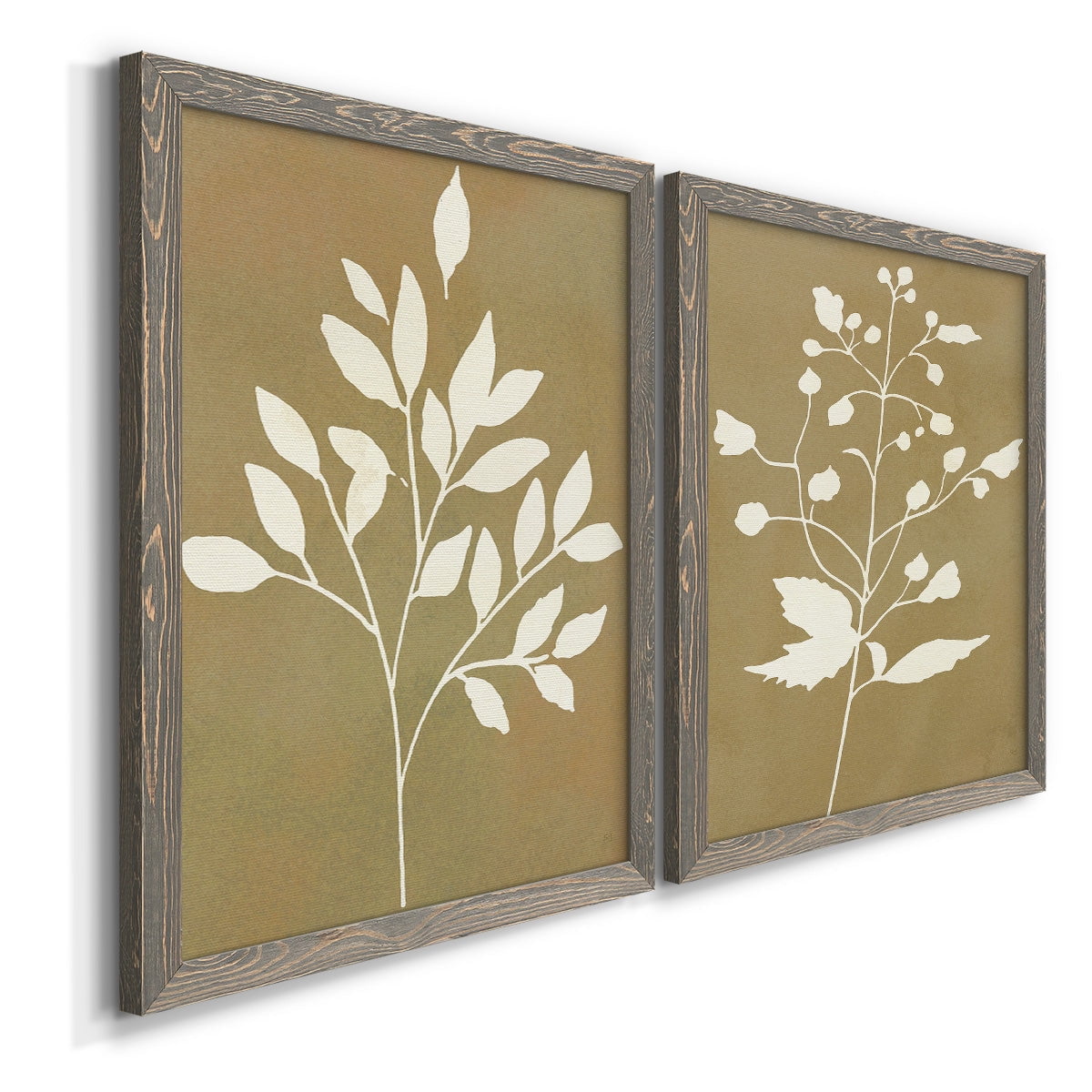 Honey Botanical I - Premium Framed Canvas 2 Piece Set - Ready to Hang