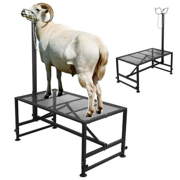 Goat Holding Stand with Adjustable Headpiece, 20"-34" Adjustable, Iron Goat Grooming Stand, Farm Animal Restraint Stand, for Animal Confinement, Trimming, Milking