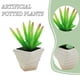 thumbnail image 4 of 2 uds simulación de plantas suculentas en macetas, pequeños adornos creativos para interiores, flores artificiales y plantas verdes, 4 of 5