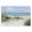 Coastal Tall Grasses Seascape, variant on Stupell Industries Sunlit Dune Path To Ocean Canvas Wall Art, design by Sally Swatland