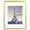 Gold, variant on Single Pack Wall Mounted Photo Frame, Classic Picture Frame with Clear Panel, Fit Photos With or Without Mat, Horizontal & Vertical Hanging Home Office Decor Frame