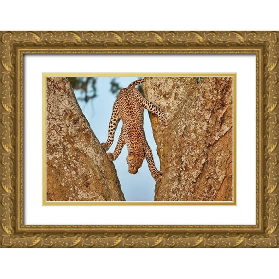 Catta, Alessandro 14x11 Gold Ornate Wood Framed with Double Matting Museum Art Print Titled - Upside Down