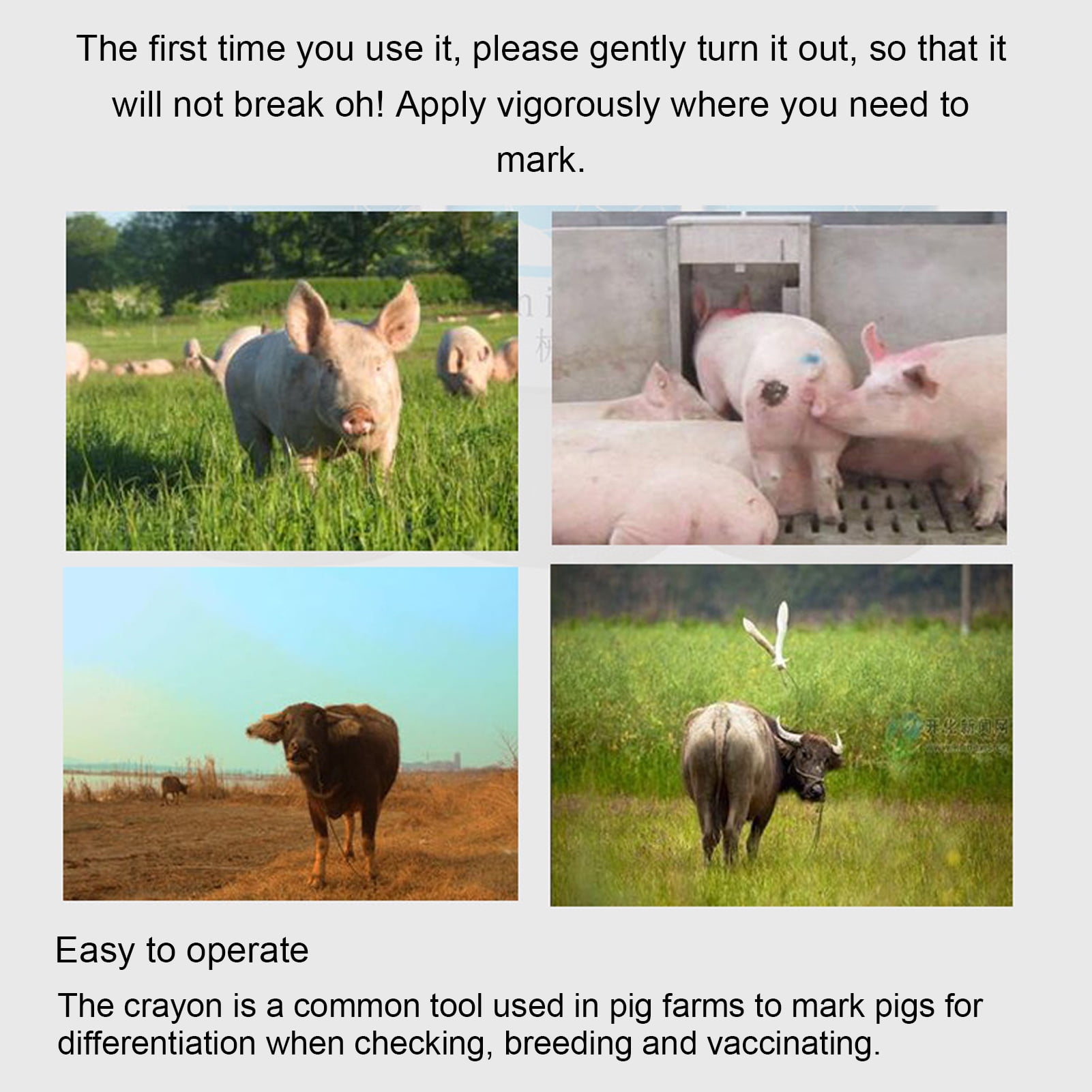 BIMZUC 24PCS Livestock Marker Crayon, Professional Red Animal Marking Paint Stick for Pig Sheep Cow Cattle (7.48 inches / 19.00 cm)