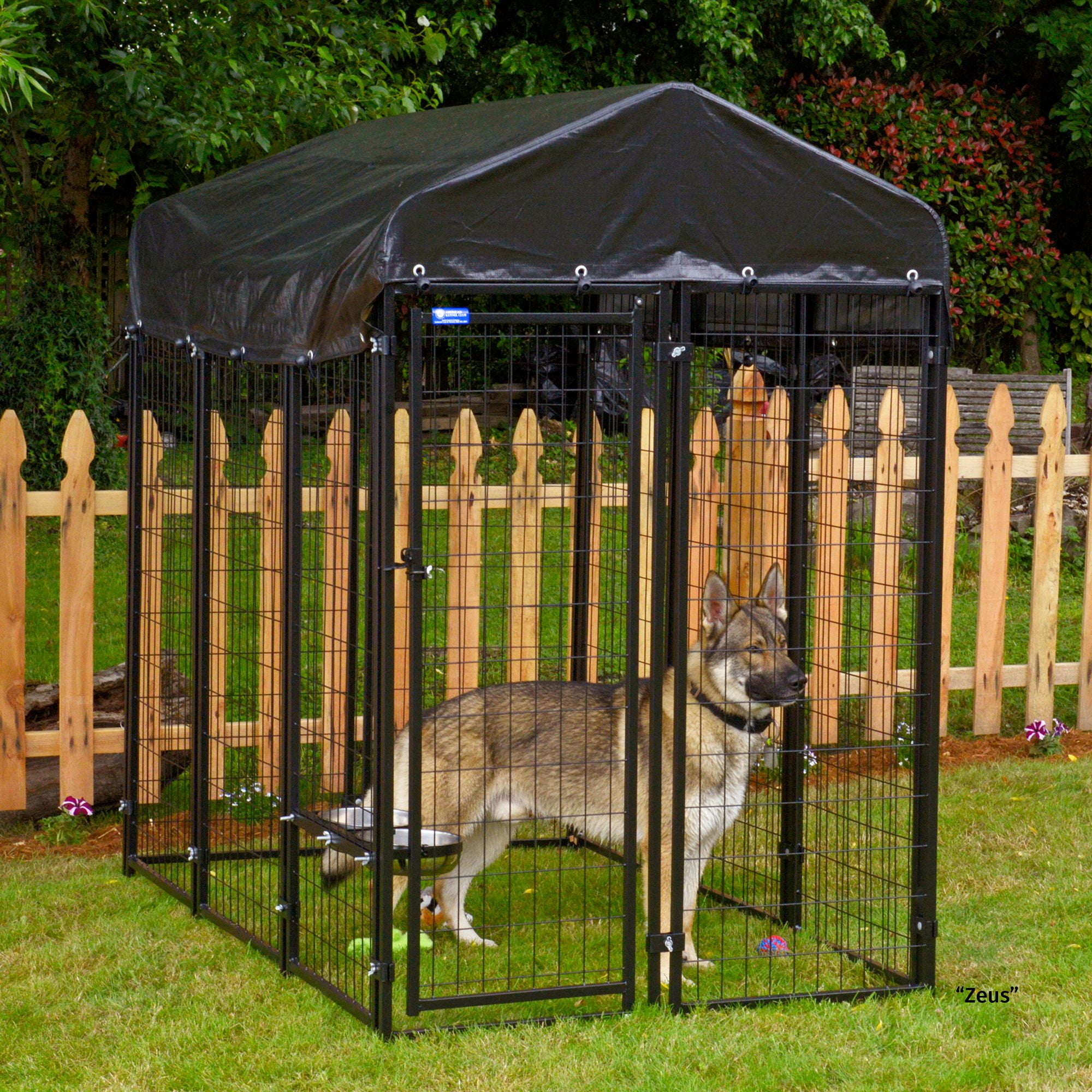 American kennel top club outdoor kennel