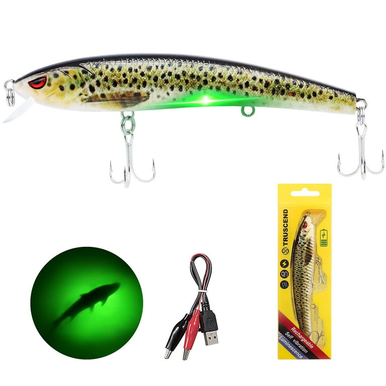 TRUSCEND LED Robotic Minnow Fishing Lure for Ice Fishing Night