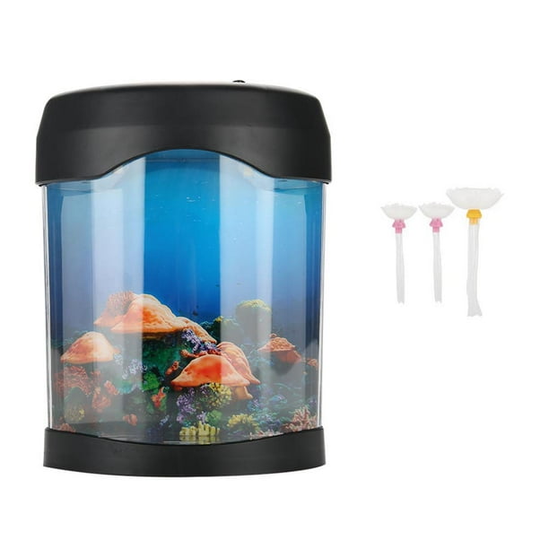 Small aquarium for cheap office desk