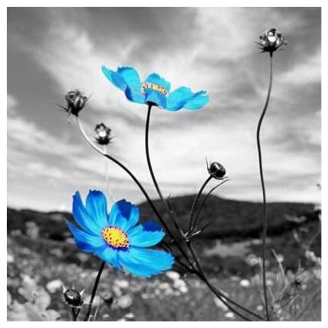 Cuadros Decorativos 11CT Estampado Impreso Flor Azul Bordado Obras de Arte Decoraciones de Arte de Pared para el Hogar JShteea Nuevos Originales