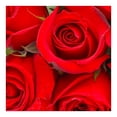 thumbnail image 2 of Bouquet de rosas premium 12 tallos, 2 of 4